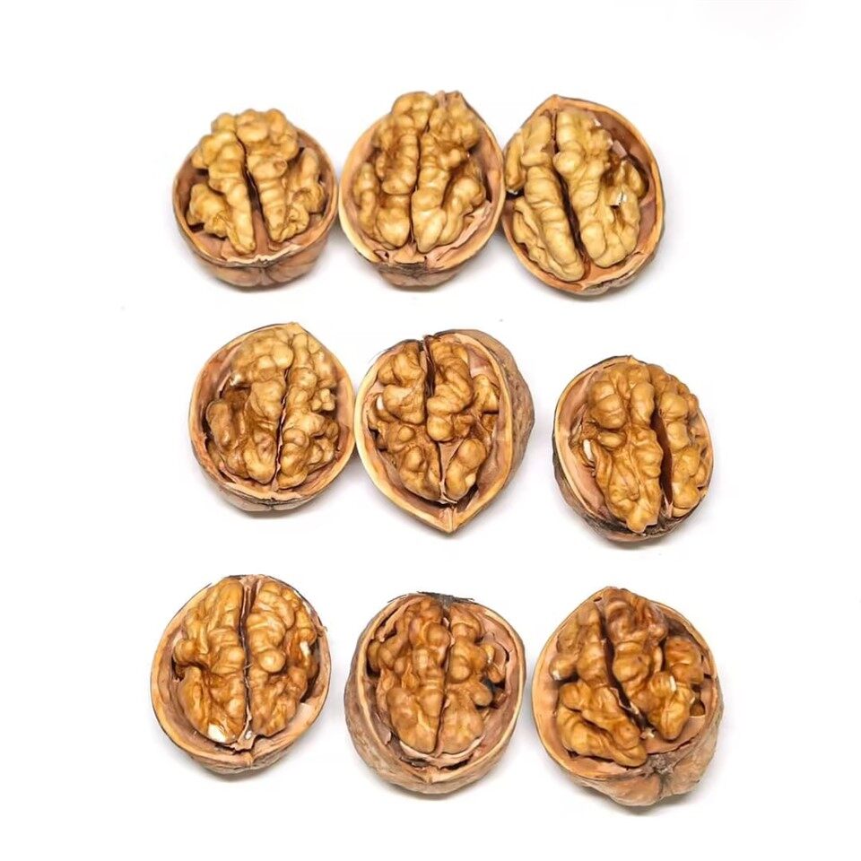 کاغذی شیل اخروٹ