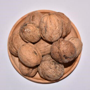 Bulk Walnuts in Shell