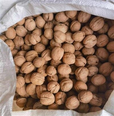 High Quality Organic Walnut