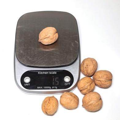 A Shell Jumbo Natural Walnuts