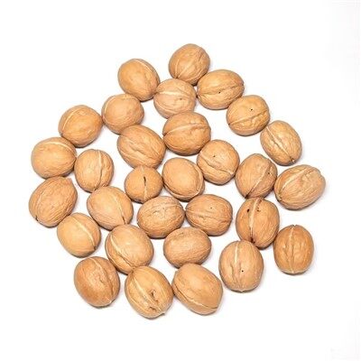 自然の食べる殻付きクルミ