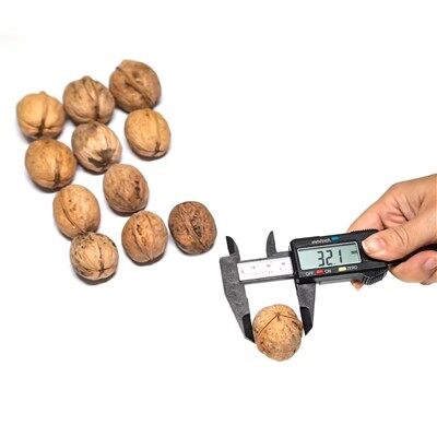 Non lavé 185 Paper Skin Nut