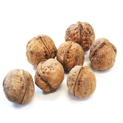 Unwashed Xingfu Walnuts Inshell