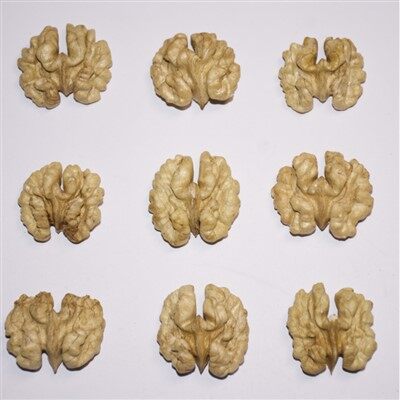 Yunnan Extra Light Night Bernels