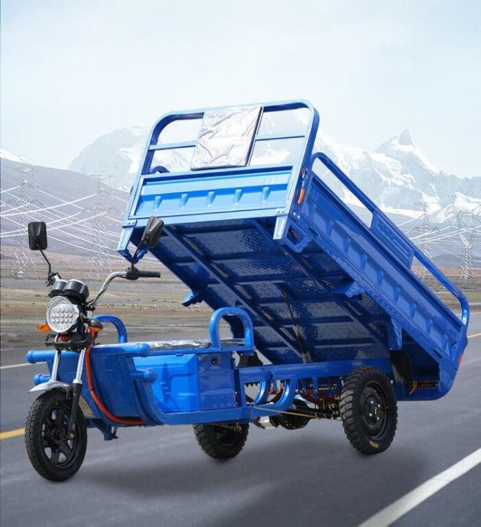 3-wheel  cargo electric trike