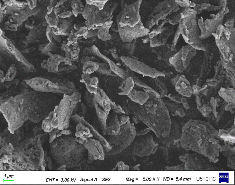 High Capacity Hard Carbon 50g