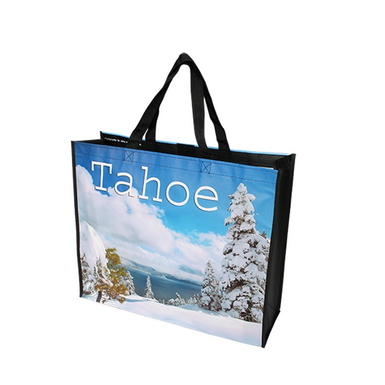 Custom Logo Non Woven Shopping Bag high quality