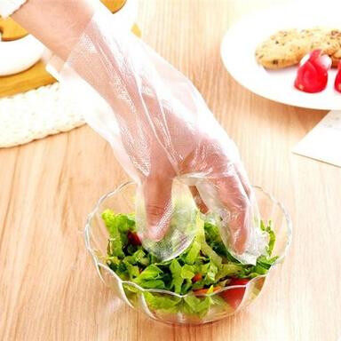 Plastic Food Service Gloves