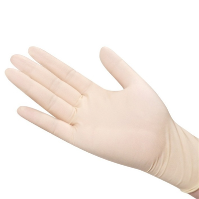 大型ラテックス手袋パウダーフリー