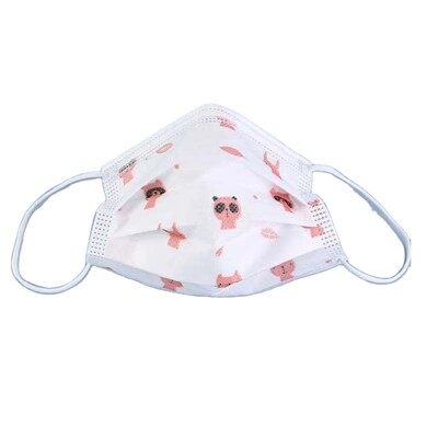 หน้ากากขนาดเล็ก