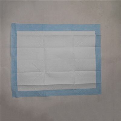 แผ่นซับปัสสาวะซุปเปอร์ดูดซับ