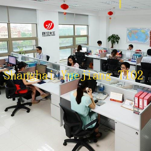 Titanium Dioxide 13463 67 7 high quality