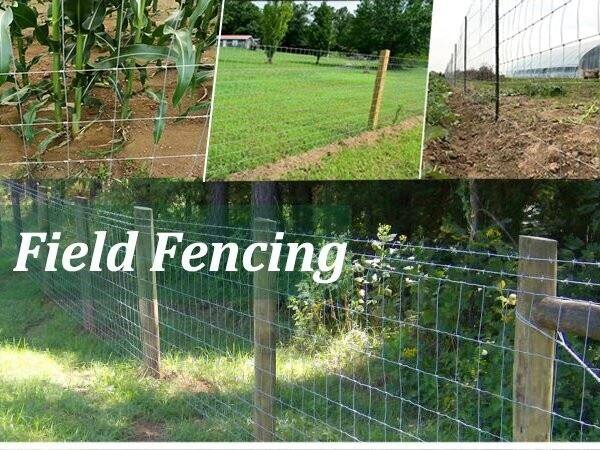 China Customized Galvanized Farm Gard Fence price