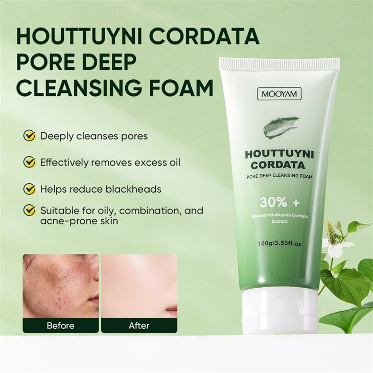 MOOYAM Houttuyni Cordata Pore Deep Cleansing Foam suppliers