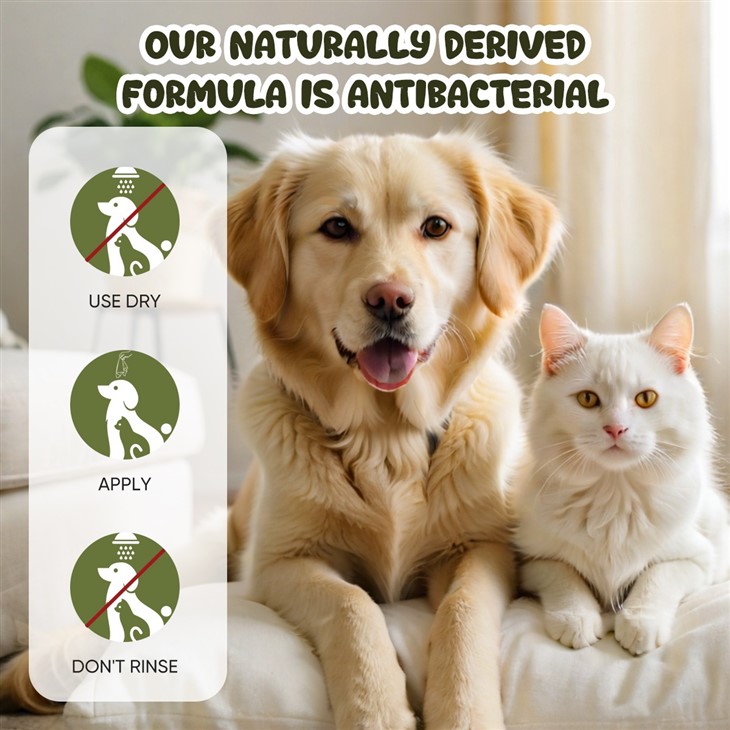 MOOYAM Pet Eye Stain Remover price