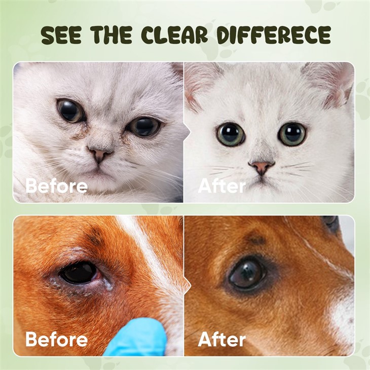 MOOYAM Pet Eye Wipes high quality