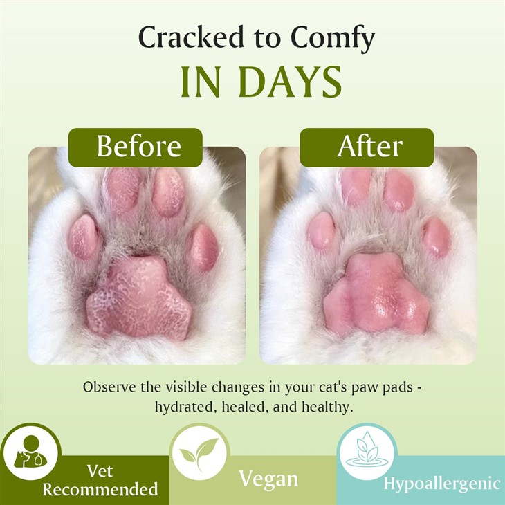 MOOYAM Pet Paw Stick price