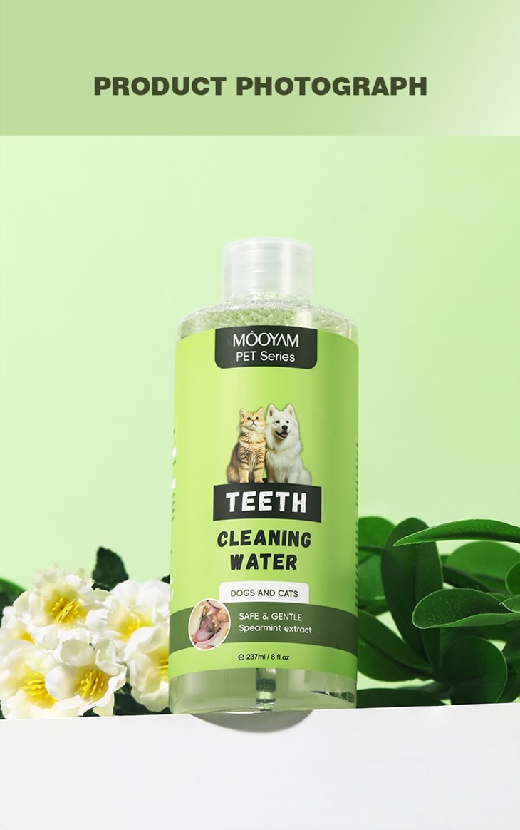 MOOYAM Pet Teeth Cleaning Water best
