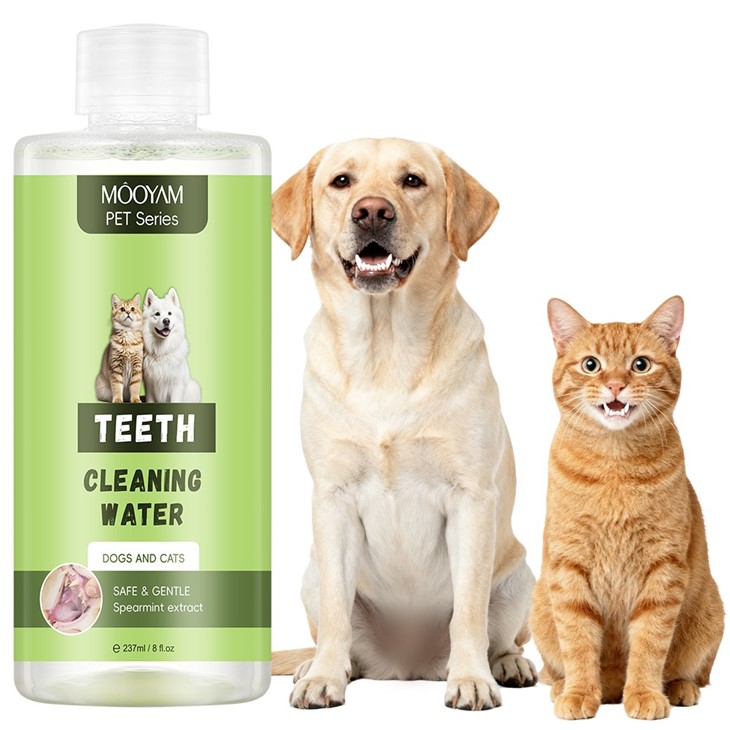 MOOYAM Pet Teeth Cleaning Water manufacturers