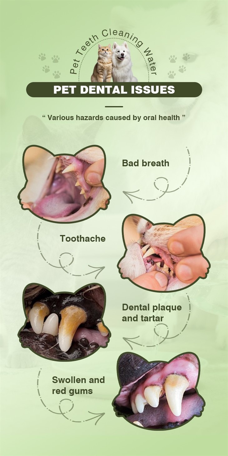 MOOYAM Pet Teeth Cleaning Water suppliers