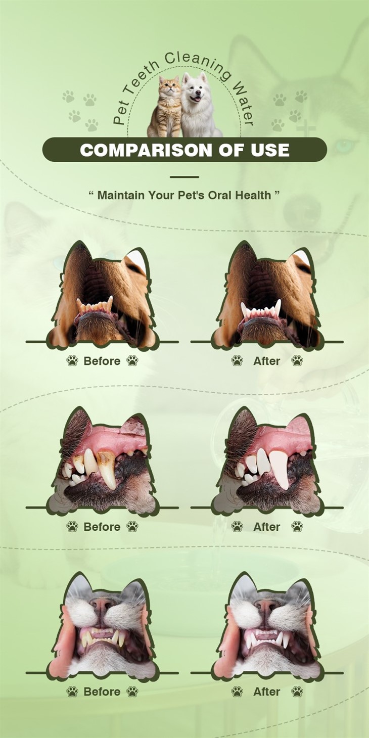 MOOYAM Pet Teeth Cleaning Water factory