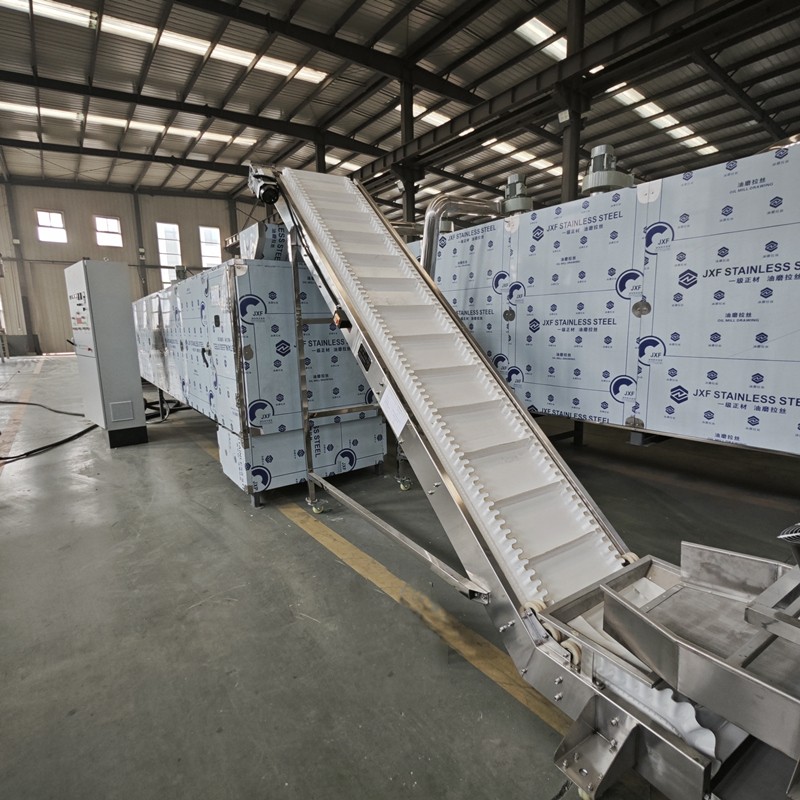 pasta processing line