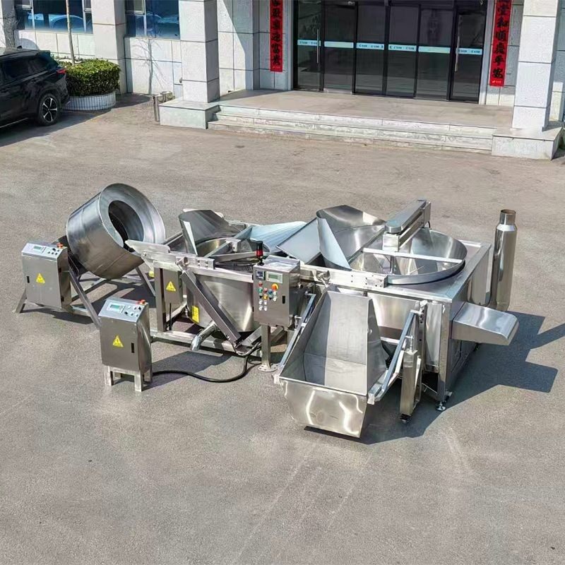 potato chips fryer(001)