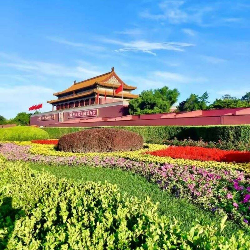 Beijing Forbidden City + Flag-Raising Ceremony + Great Wall Tour