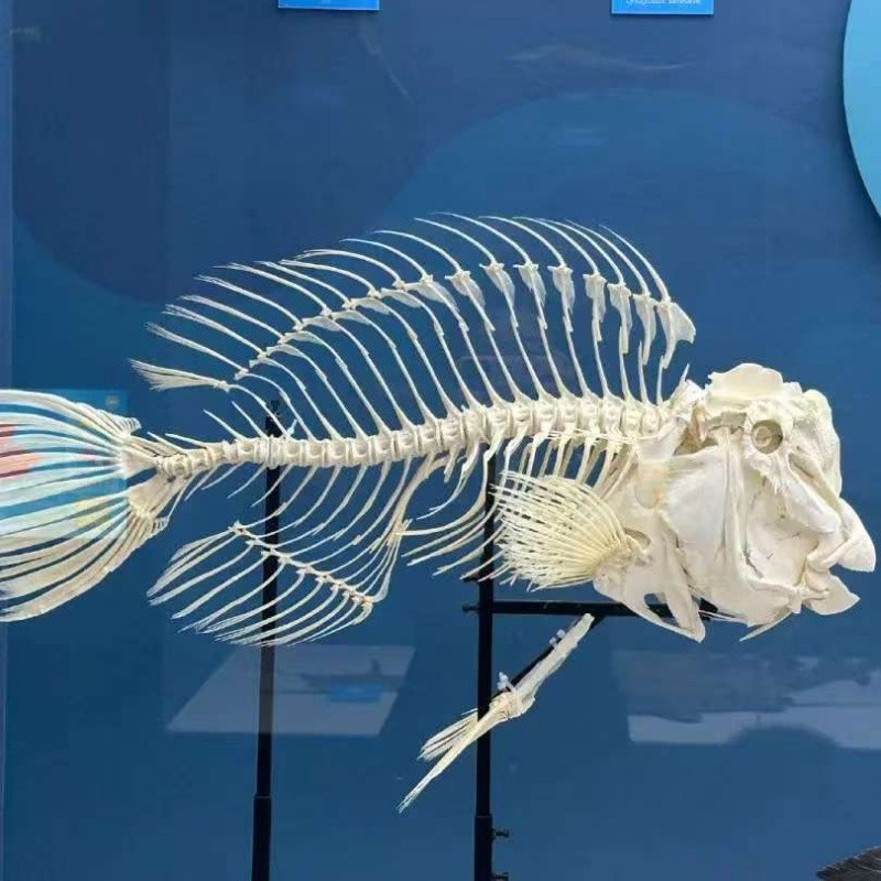 北京研学行程
