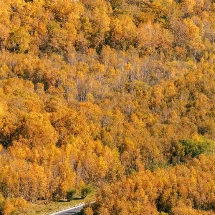 Chengde Tourism Products