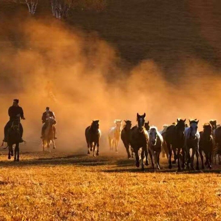 Chengde Travel Recommendations