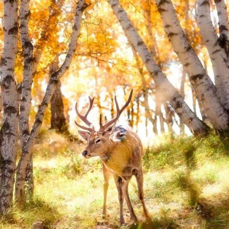 Taiwan to Chengde Travel