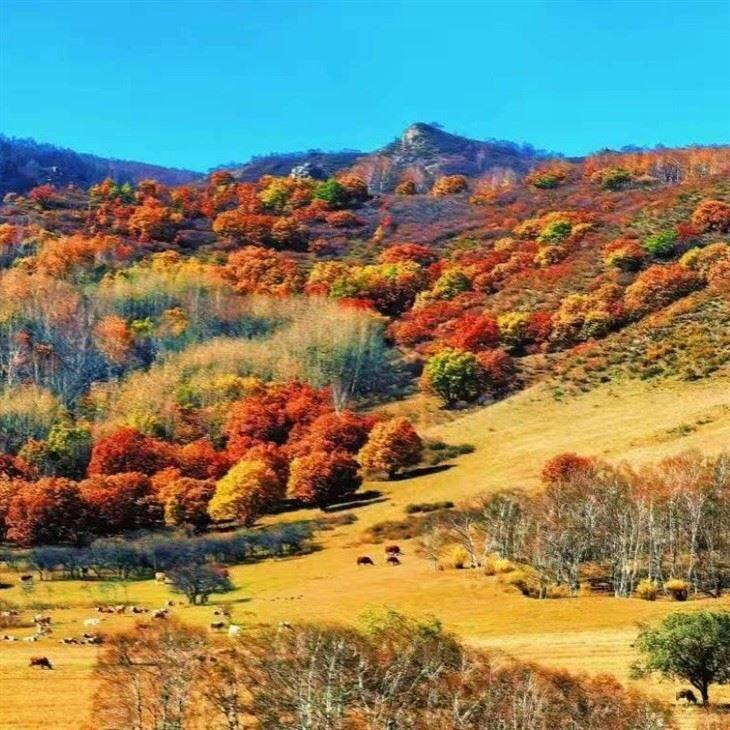 Chengde Tourist Attractions