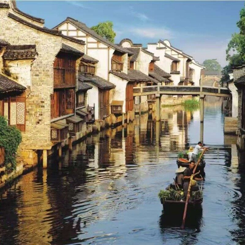 Nanjing Sun Yat-sen Mausoleum Reservation Channel + Wutong Avenue Photo Spots