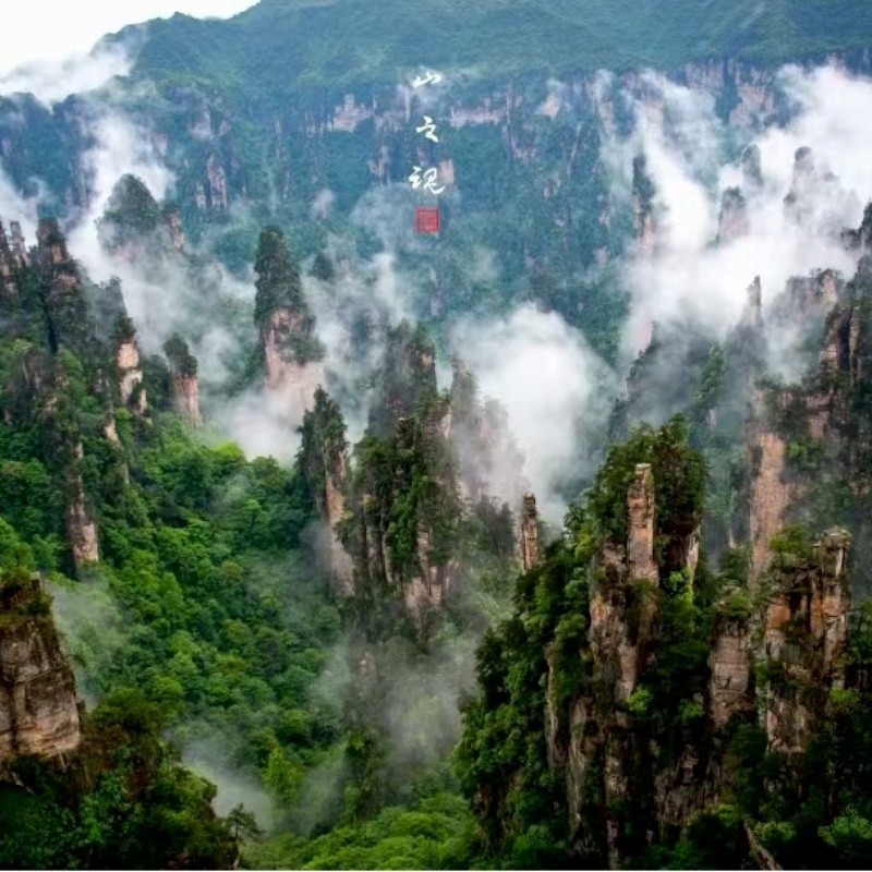 Zhangjiajie Aerial Panoramic Experience