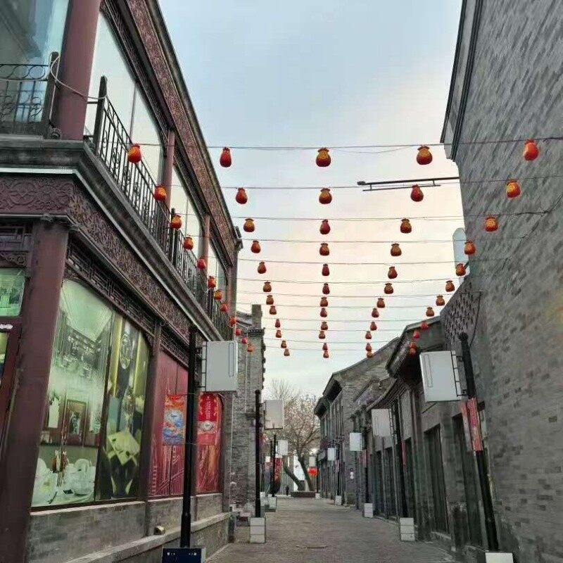 Prince Gong's Mansion + Nanluoguxiang Day Tour Itinerary