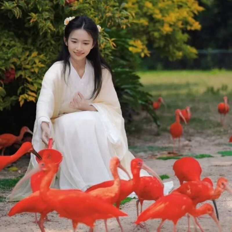 Cantonese-Style Tea and Dim Sum in Guangzhou, China