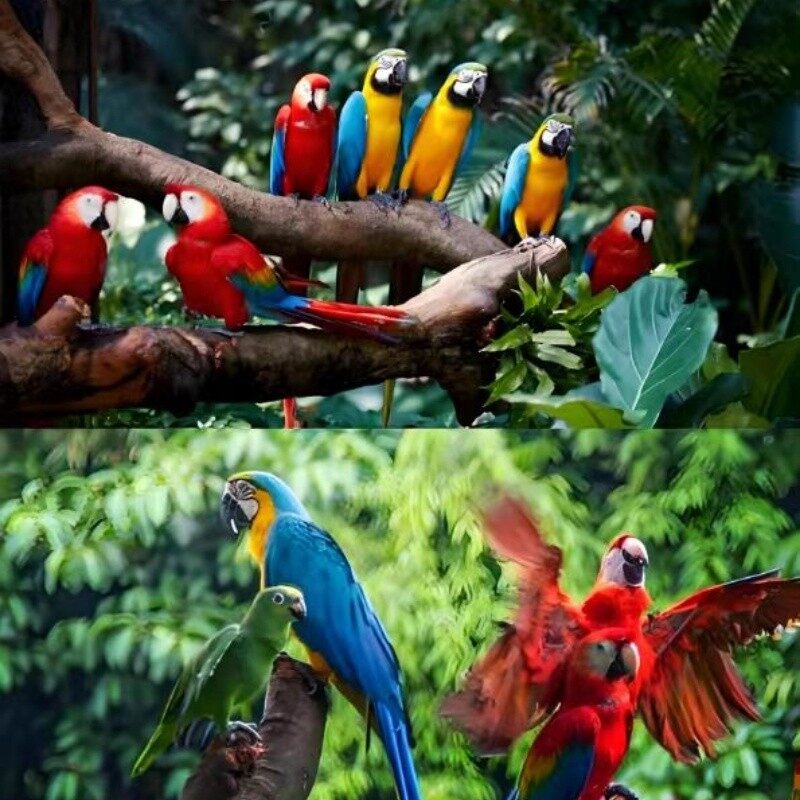 Family Rooms at Chimelong Panda Hotel in Guangzhou