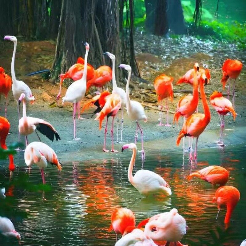 Chimelong Hotel and Theme Park Package in Guangzhou