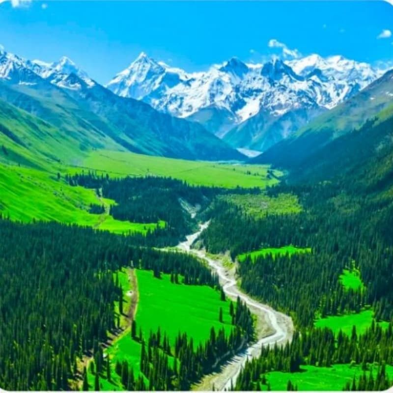 ‌Accommodation in high-end hotels in Xinjiang