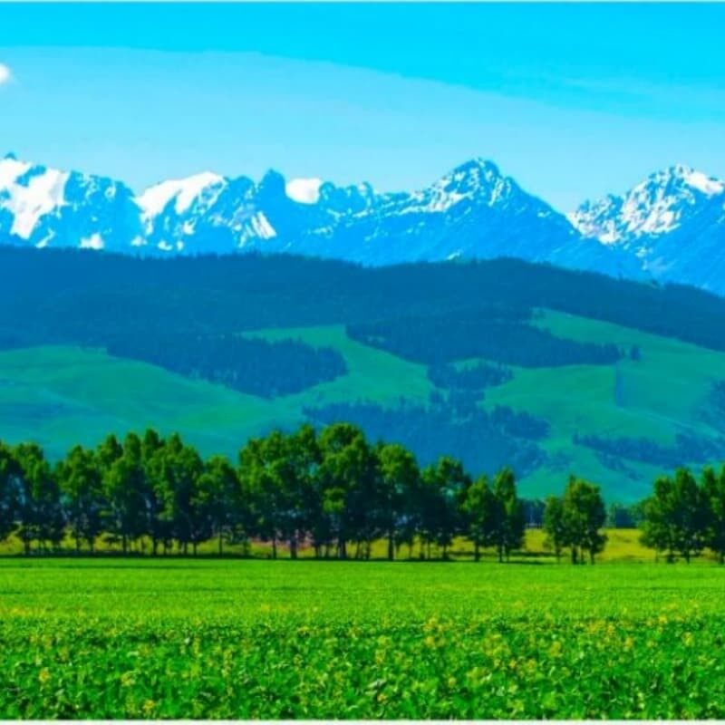 Unique experience in Xinjiang