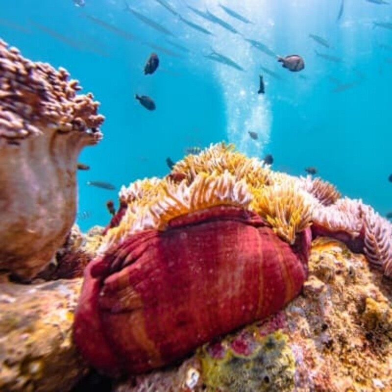 Go to Hainan during summer vacation