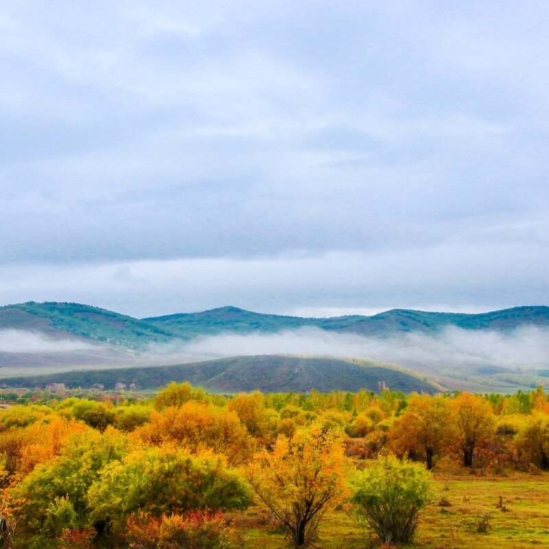 हरबिन पर्यटन सिफारिश