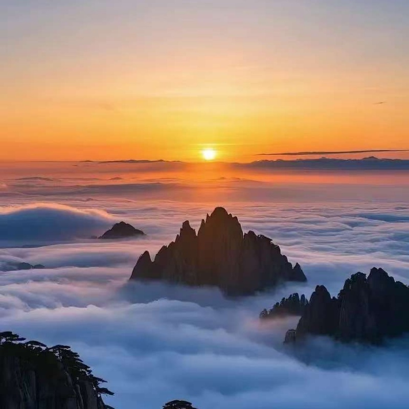 黄山旅游四日游