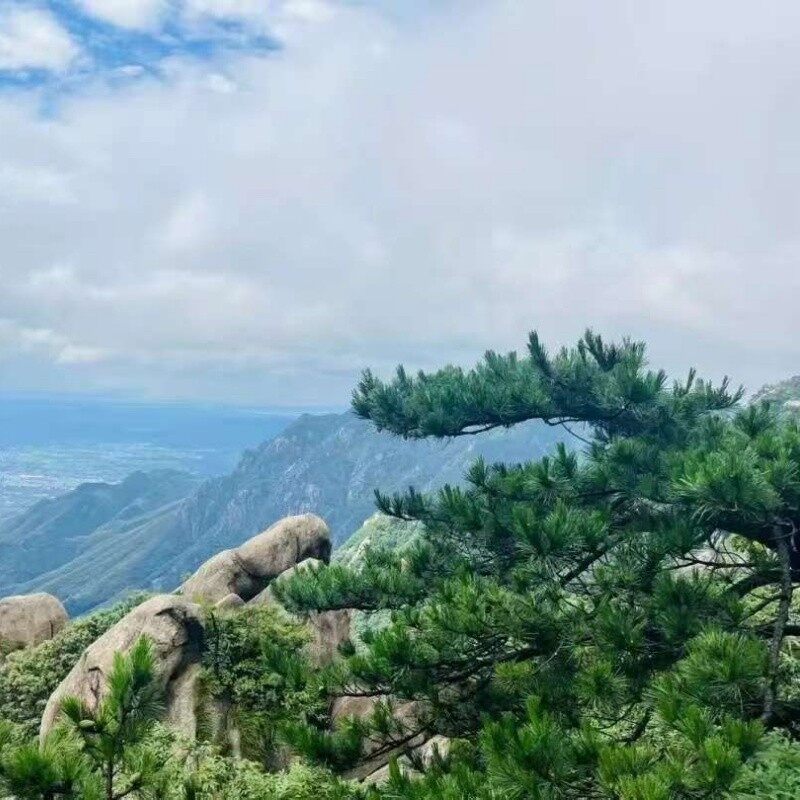 Jiuhua Mountain Sea of ​​Clouds Viewing
