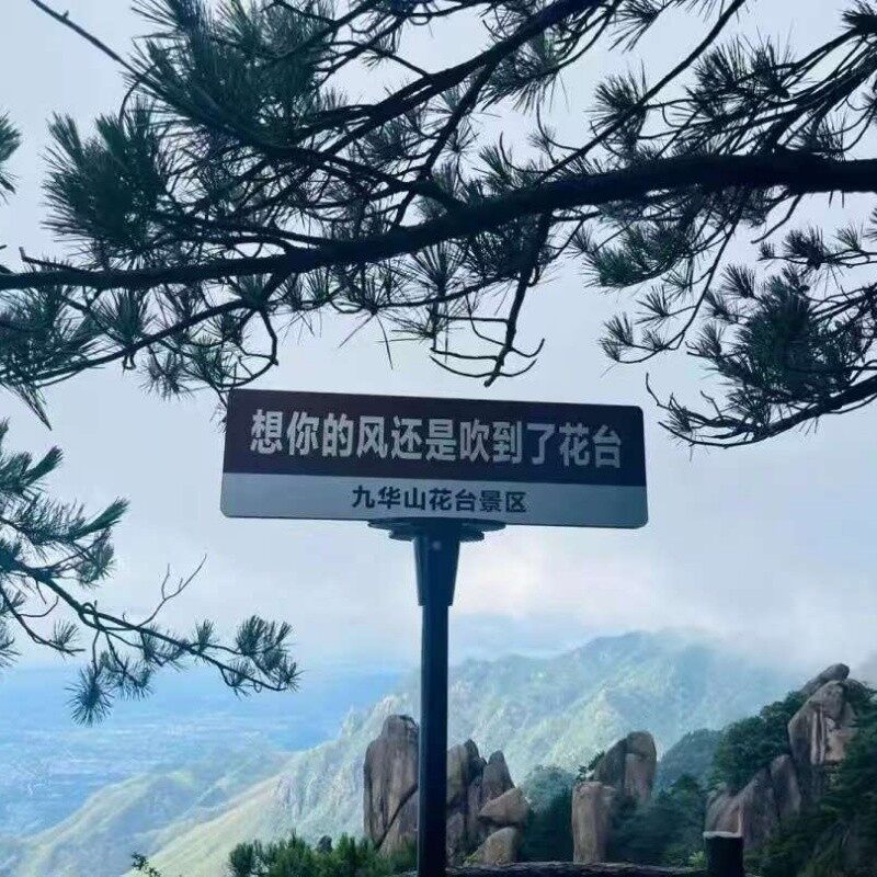 Jiuhua Mountain Zen Meditation Experience