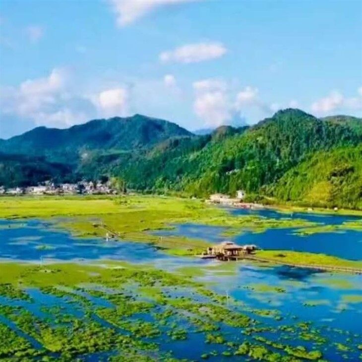 Beihai Wetland Cruise