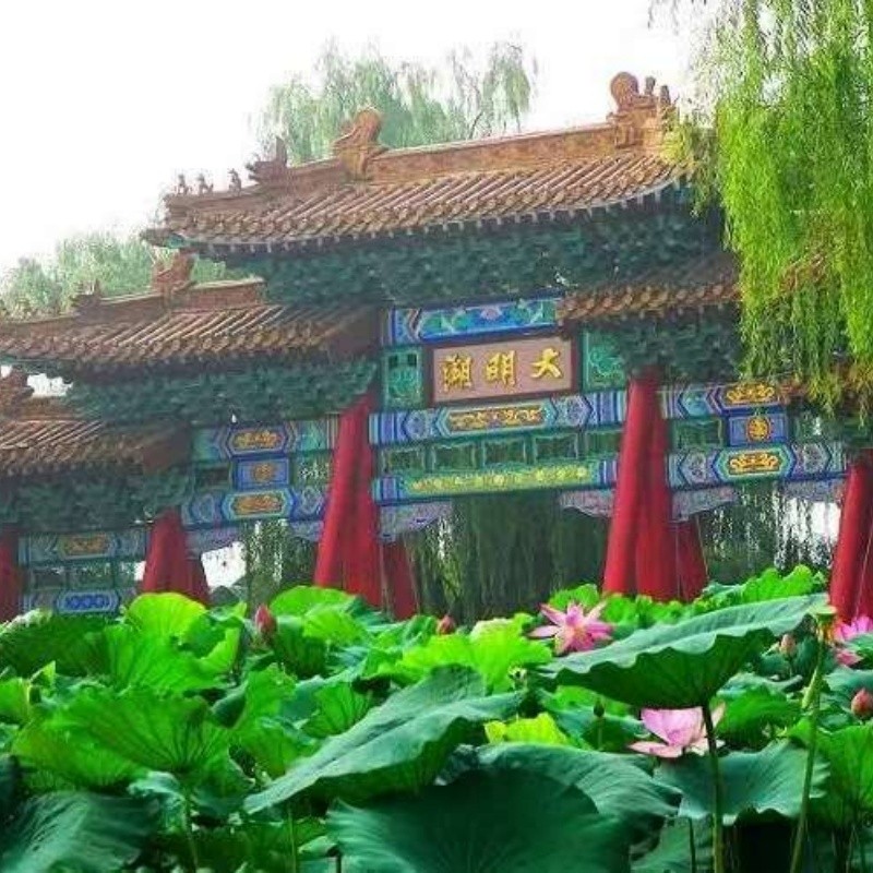 山東6日遊
