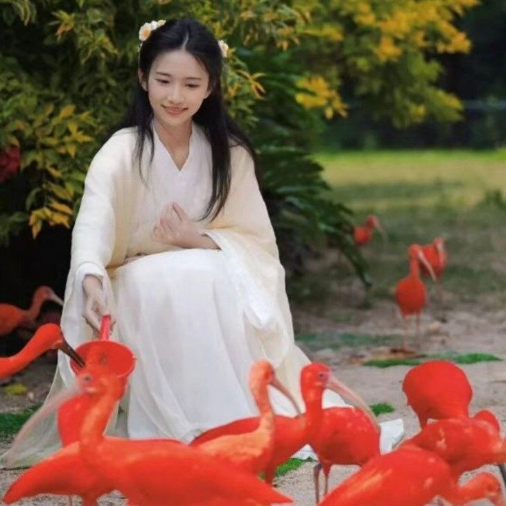 The Pearl River Night Tour