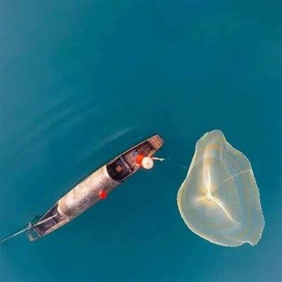 Five-Day Tour Of Changsha And Nanyue Hengshan